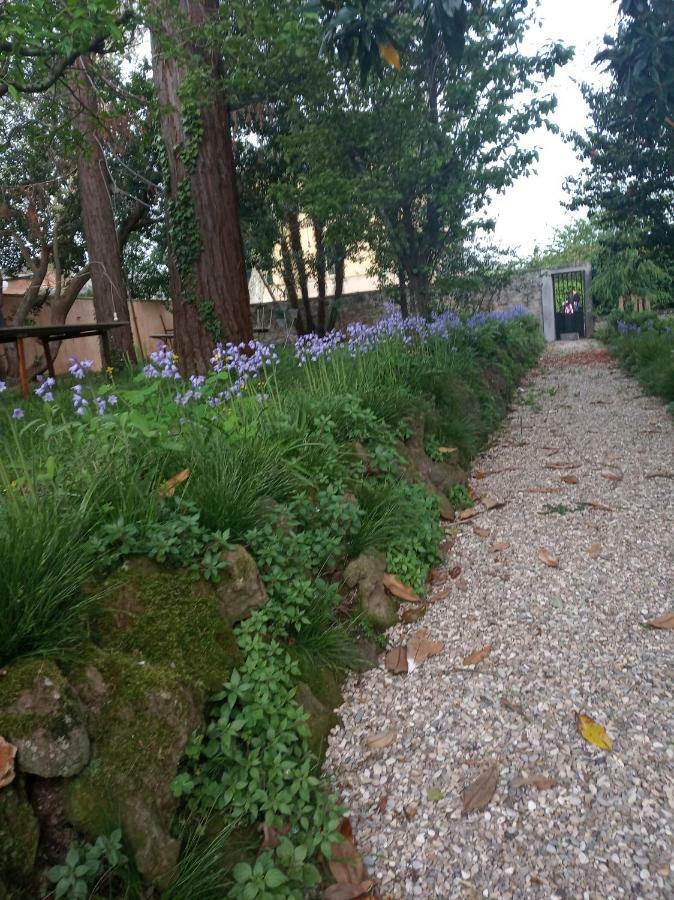 B&B Villa Gualterio Больсена Екстер'єр фото